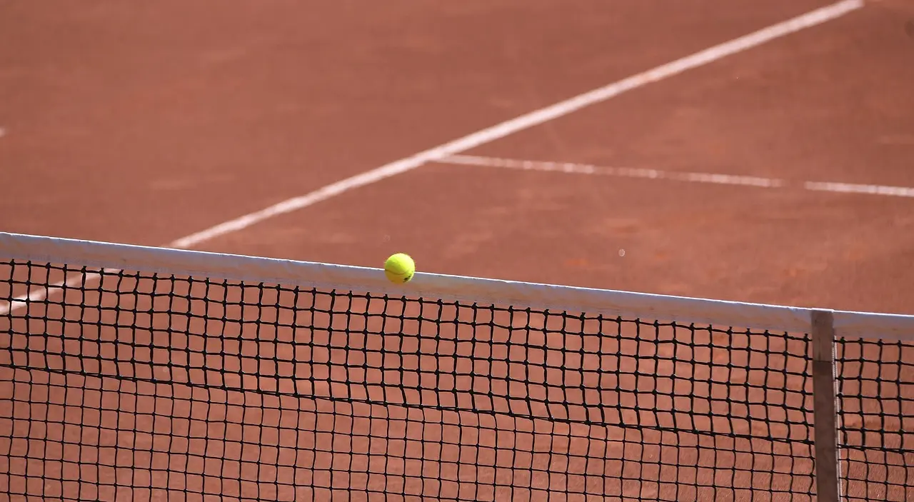 Tennisbold på nettet